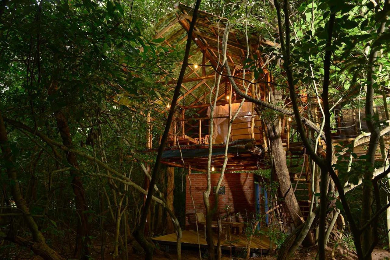 Back Of Beyond - Pidurangala Villa Sigiriya Ngoại thất bức ảnh
