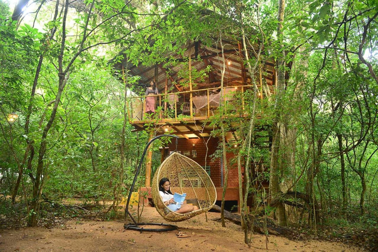Back Of Beyond - Pidurangala Villa Sigiriya Ngoại thất bức ảnh