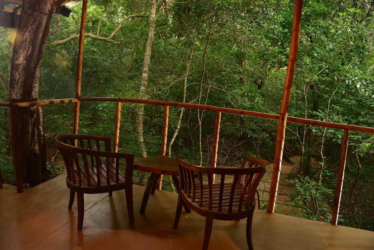 Back Of Beyond - Pidurangala Villa Sigiriya Ngoại thất bức ảnh